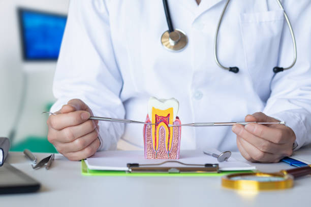 Best Urgent Care for Lost Fillings or Crowns in Ripley, TN
